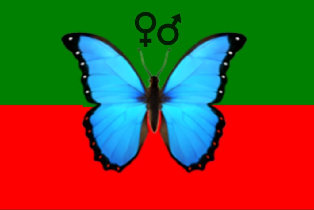 پاکستان تحریک تتلیاں۔🦋😋