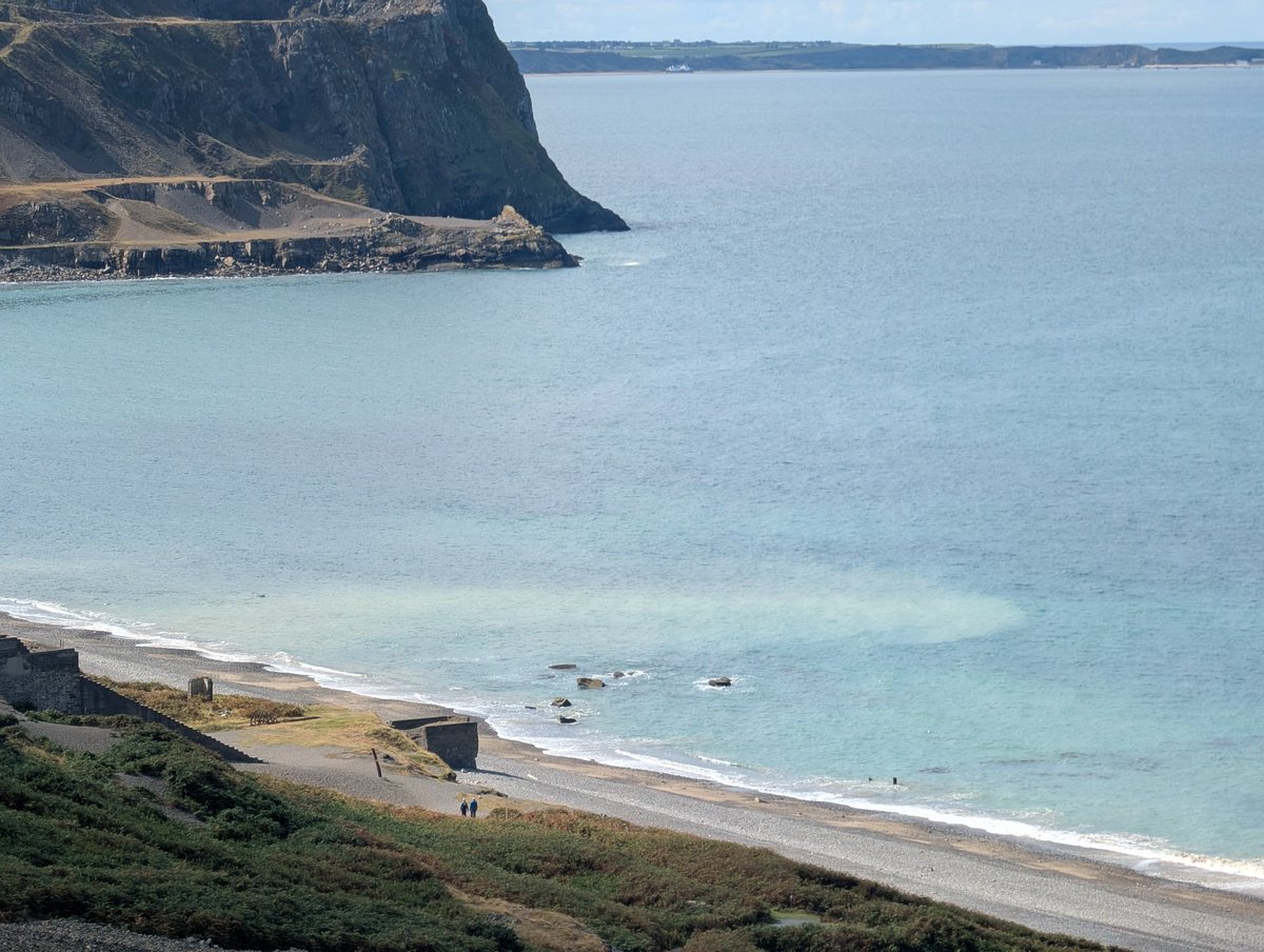 Dylan's Tours of Wales tweet media