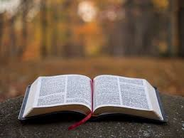 elpricej's tweet photo. “Si ton frère devient pauvre et vend une portion de sa propriété, celui qui a le droit de rachat, son plus proche parent, viendra et rachètera ce qu'a vendu son frère.”
Lévitique 25.25
#Bible #Rachat #Rédemption https://t.co/GxG8SuLZMP