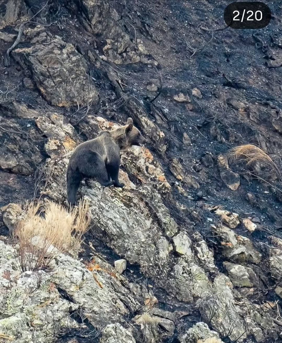 Marcoslrua tweet media