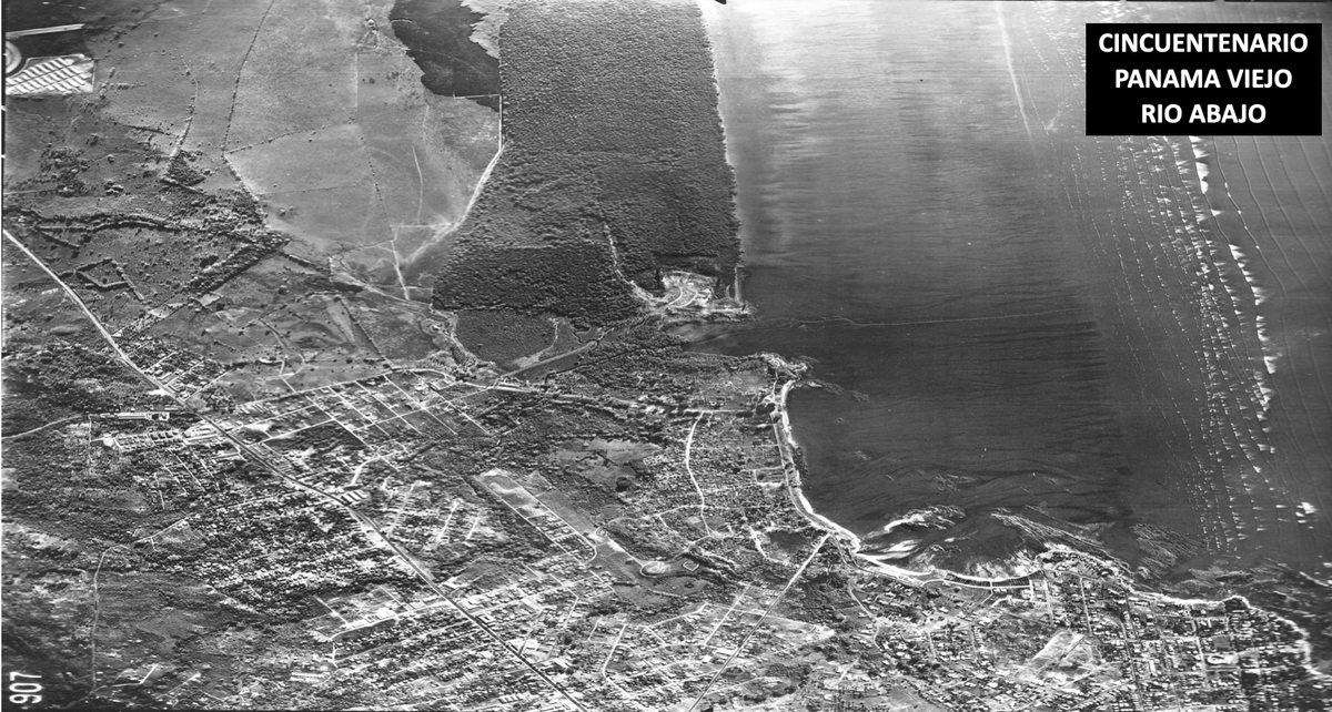 Edward McGrath tweet media