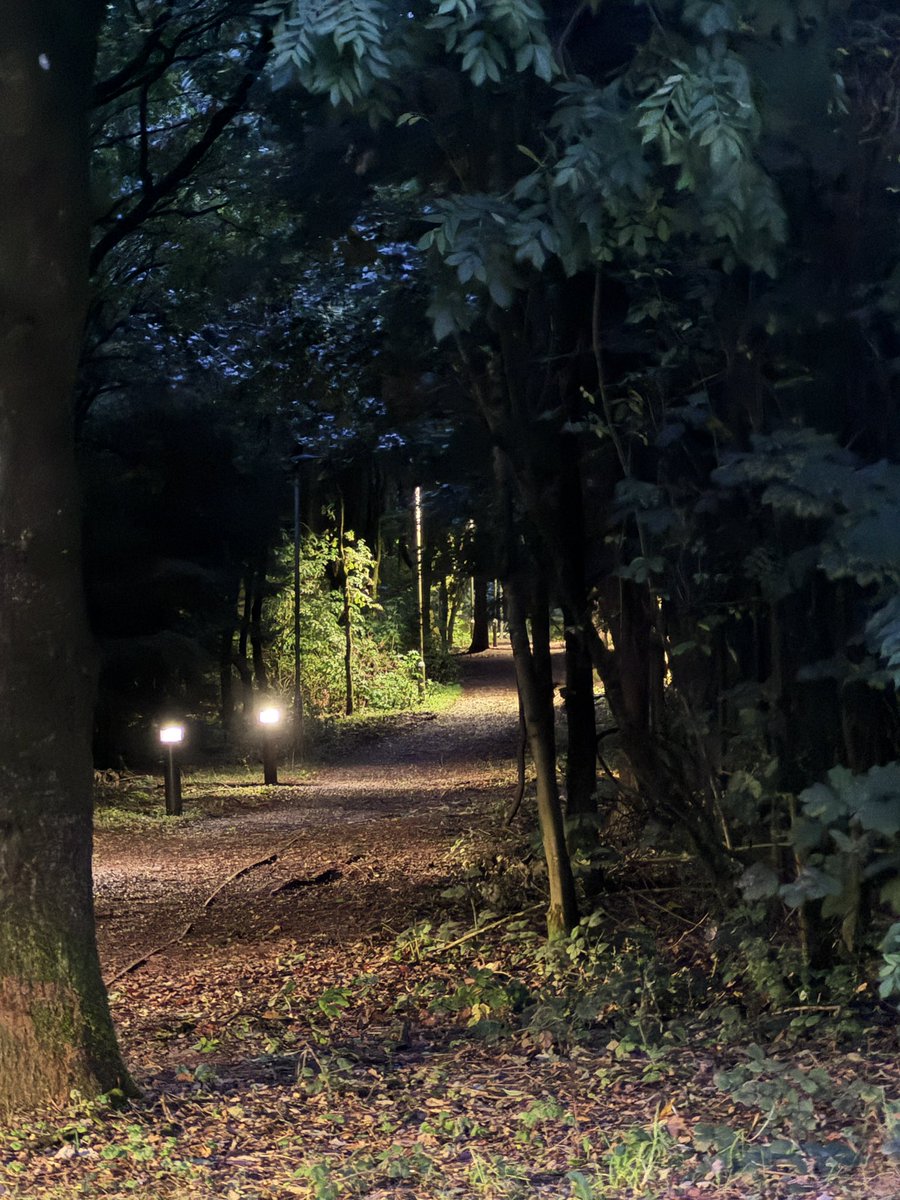 Dr Bowen Zhang 张博文 tweet media