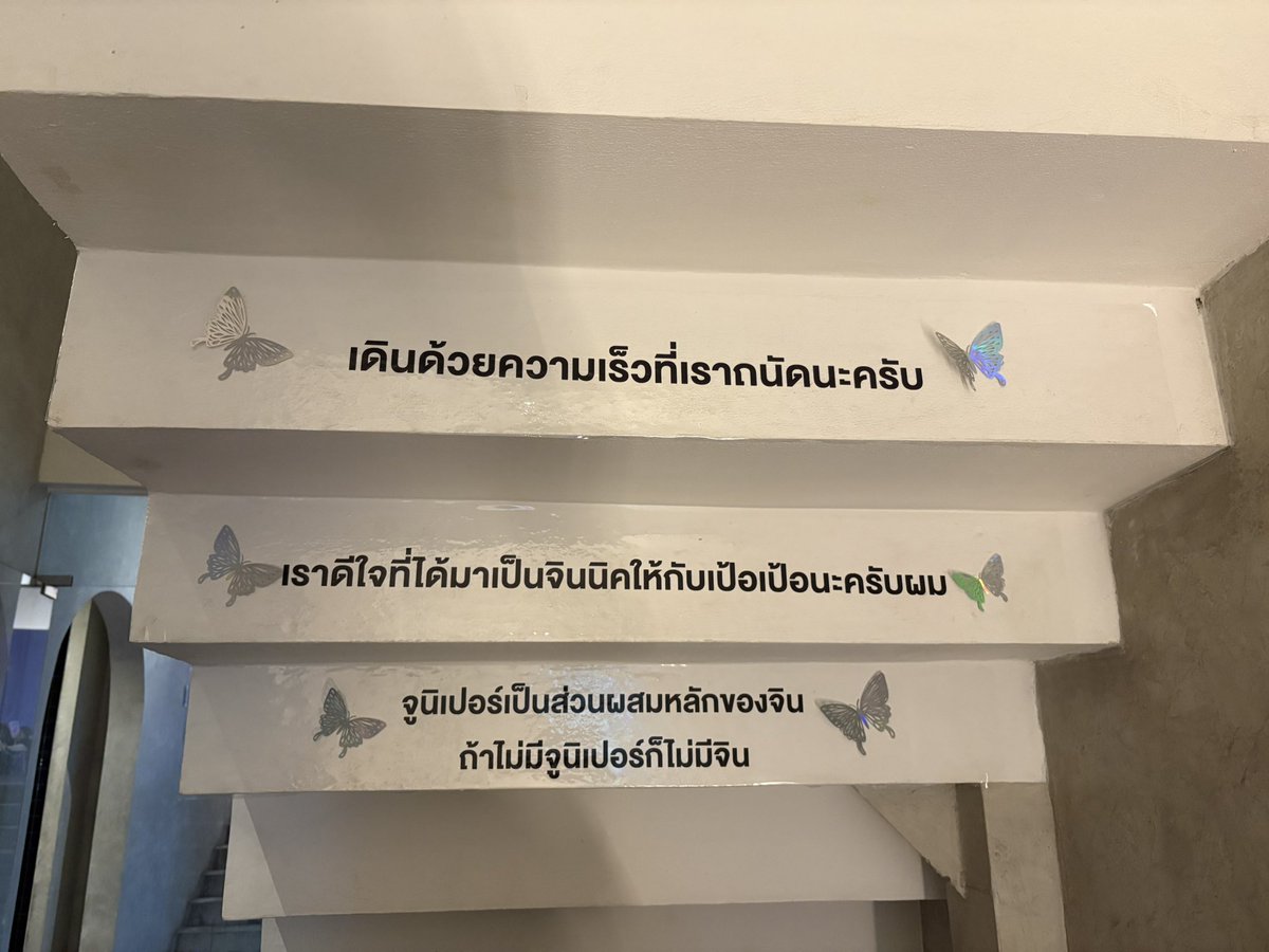 Hx789T's tweet photo. มู้ดดีมากกก สตาฟดูแลดีมากเลย ขอบคุณนะคะ🩷
#GintheMuse https://t.co/I8DPtZ42Jp