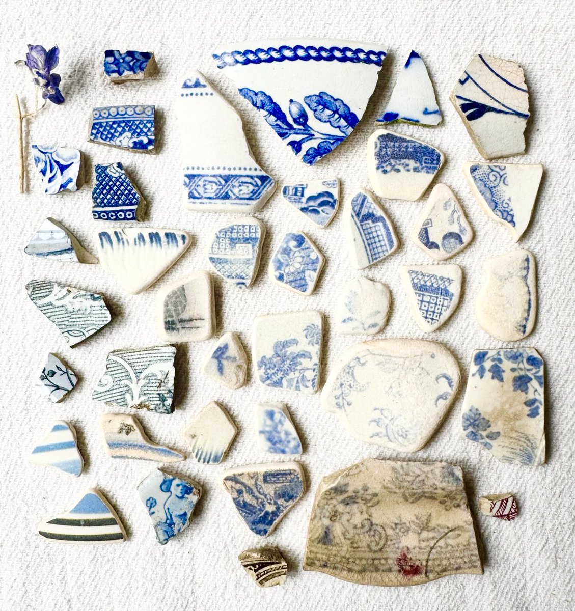 Emma Mitchell 💙 tweet media