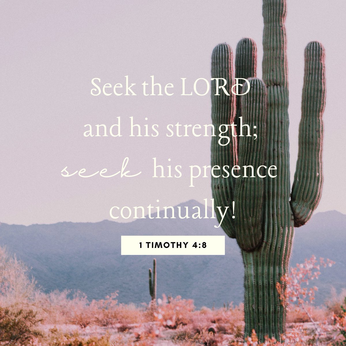 City Rescue Mission (@crmjax) on Twitter photo Scripture Sunday Scripture Sunday