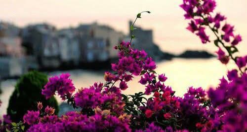 کوشش کریں جو لوگ آپ کے بغیر زندگی ميں خوش ہیں تو انہیں خوش ہی رہنے دیں۔