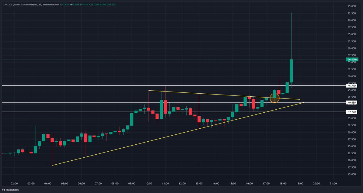 WTF WAS THAT $XVM CANDLE TO 70M???