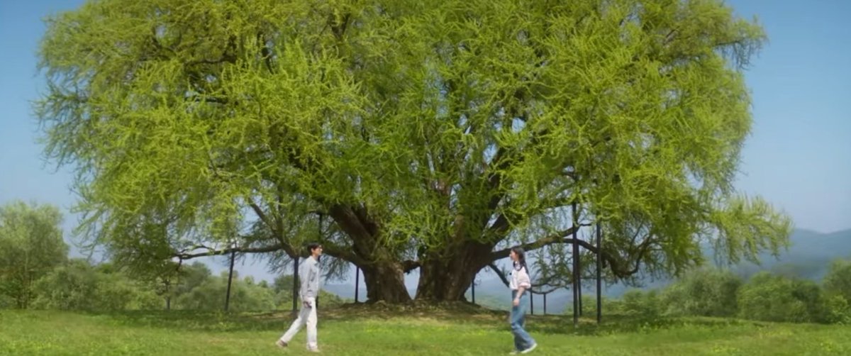 far. 🍋 tweet media