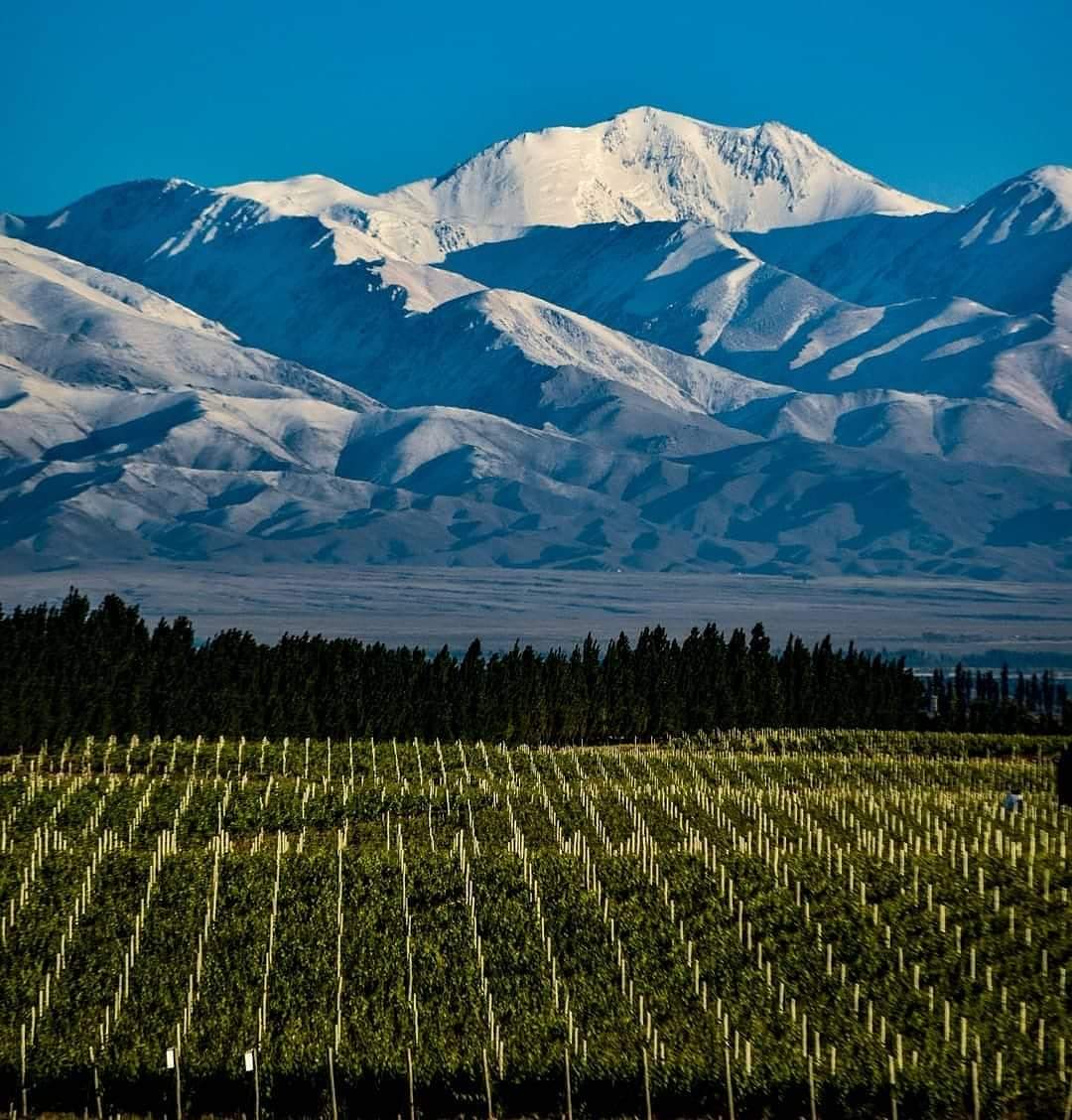 #elvinoune #winelovers  Salud enólogos en vuestro día. Sin Uds. el extraordinario Mundo del #Vino no sería posible 🍷 🍾