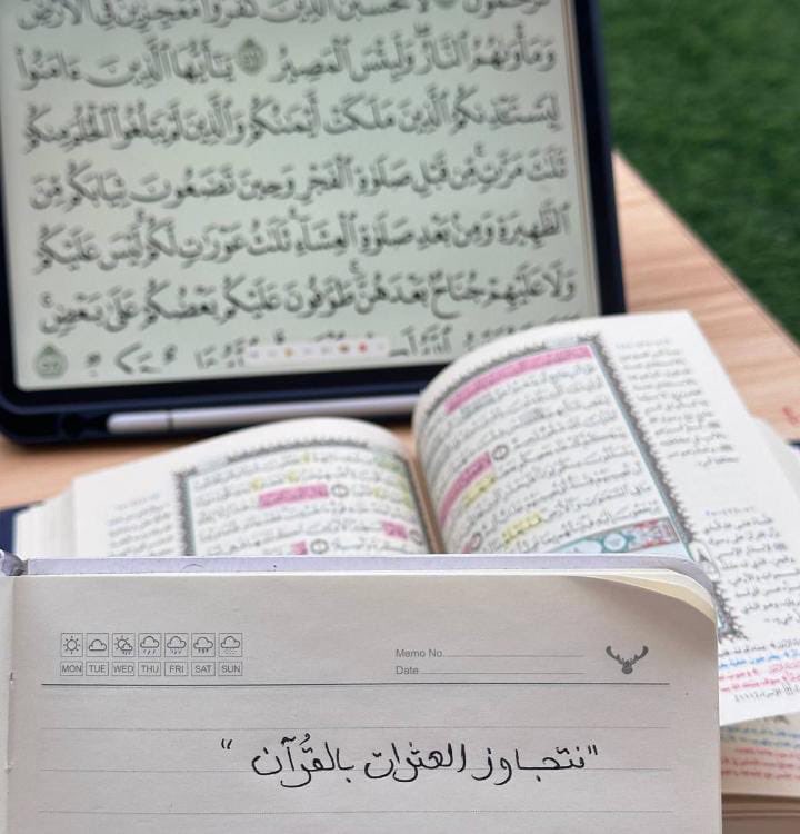 Qur4y's tweet photo. "من كان القُـرآن حيًّا في قلبه اخضرّت أيامه
 وازدانت أوقاته وزادت البركة في حياته وارتوت
 روحه العطشى فرحًا ورضا🌸💕". https://t.co/W8S18PyKRZ