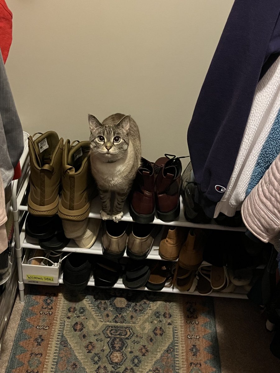 What shoes should I wear today?