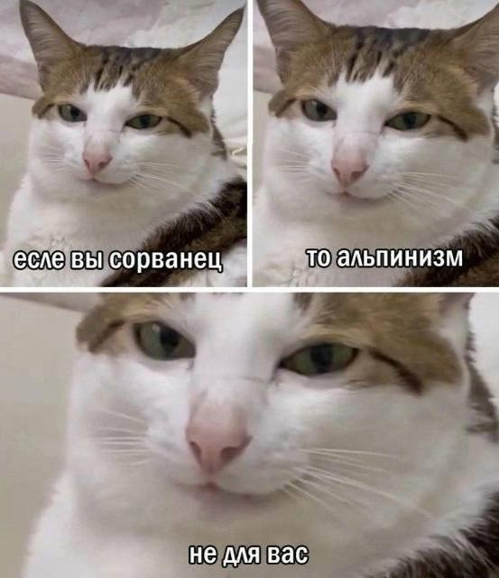 <a href="/Etnaetoya/">Etna</a>