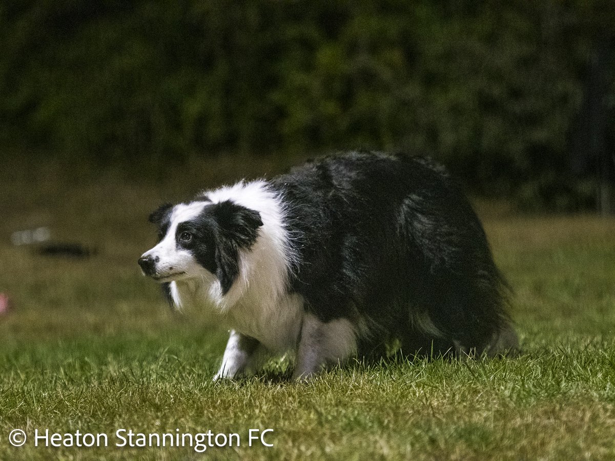 StanSnaps tweet media