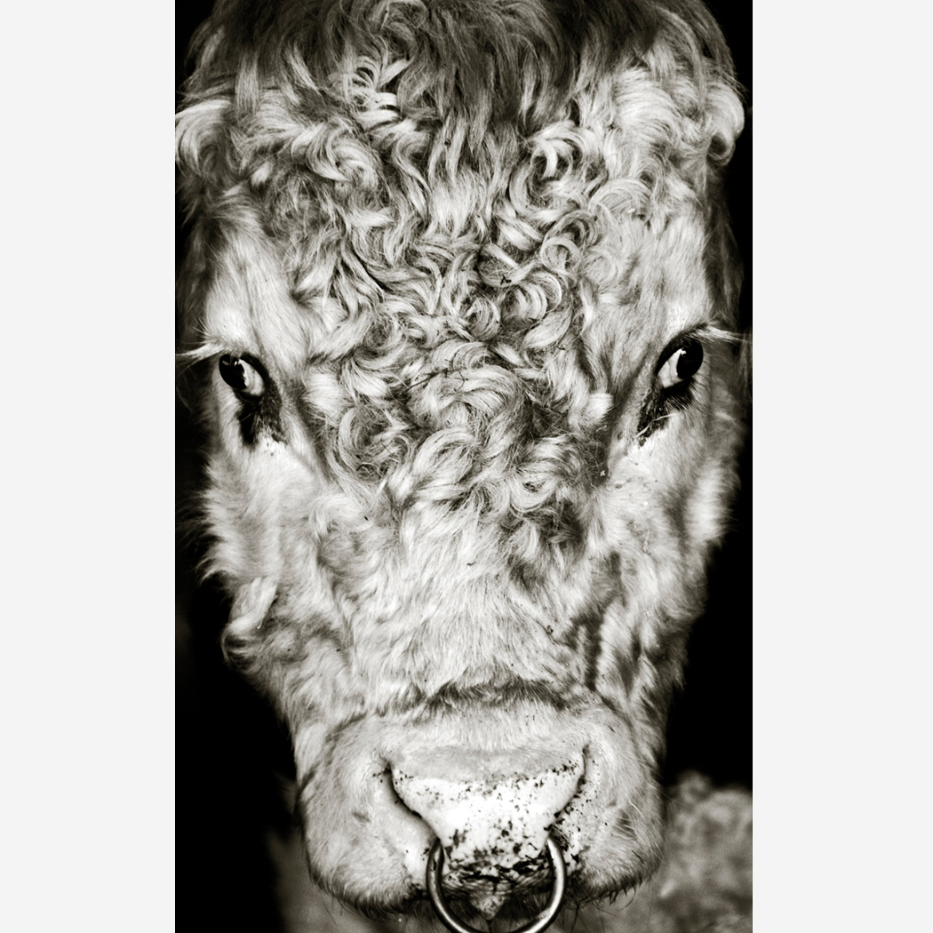 One week left of 'The Close of Summer Sale' - mailchi.mp/a0d1359dcfff/i…