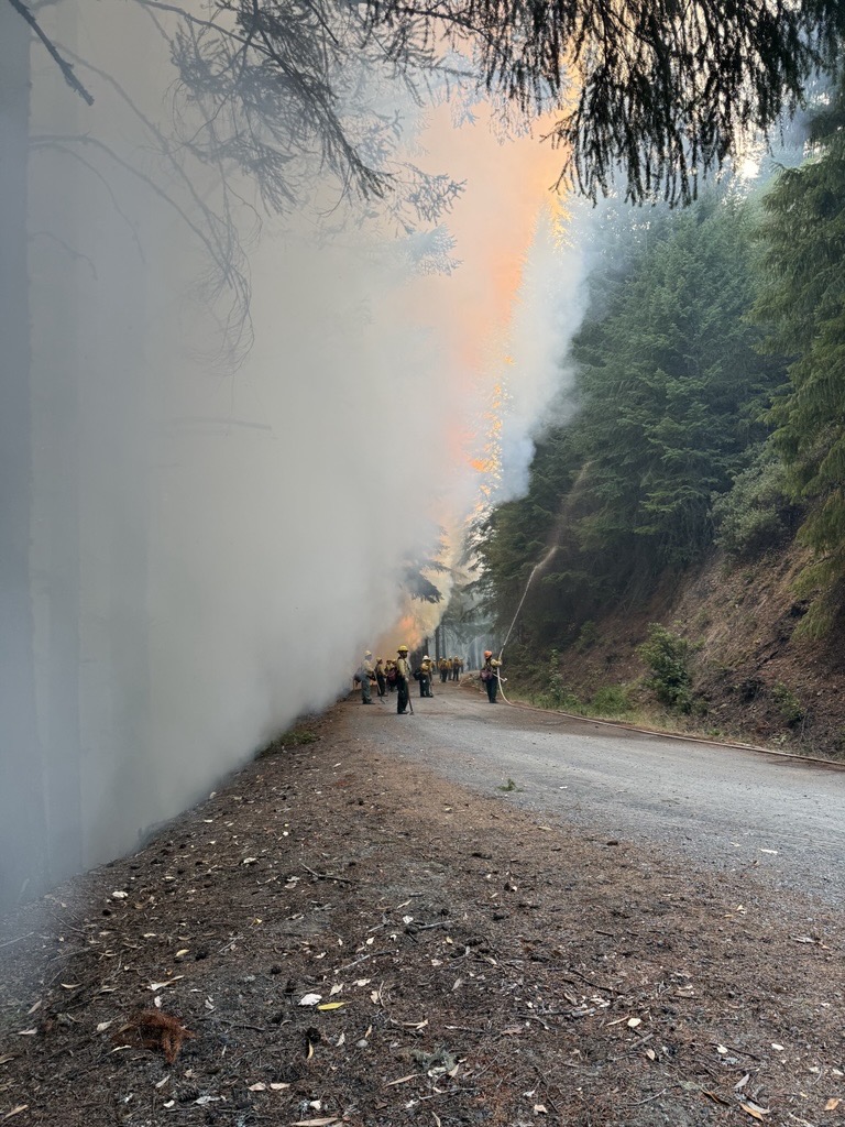 ODF Southwest tweet media