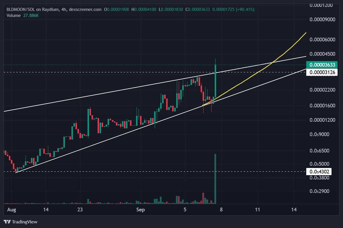 Winner Maje tweet media