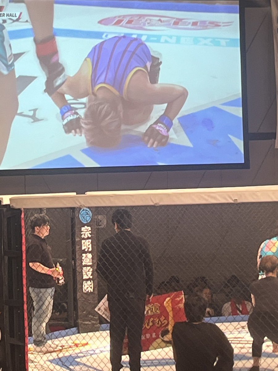 ぽちゃん Amazon.co.jp: ぽぽちゃん 着せかえ ぽぽちゃん専用 ピンクのくまさん