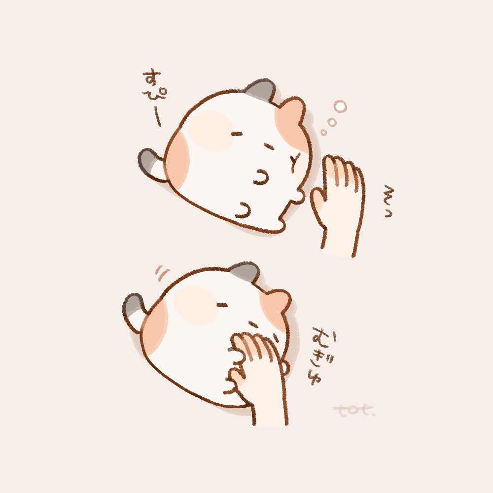 おやすみ
おててむぎゅするミケちゃん