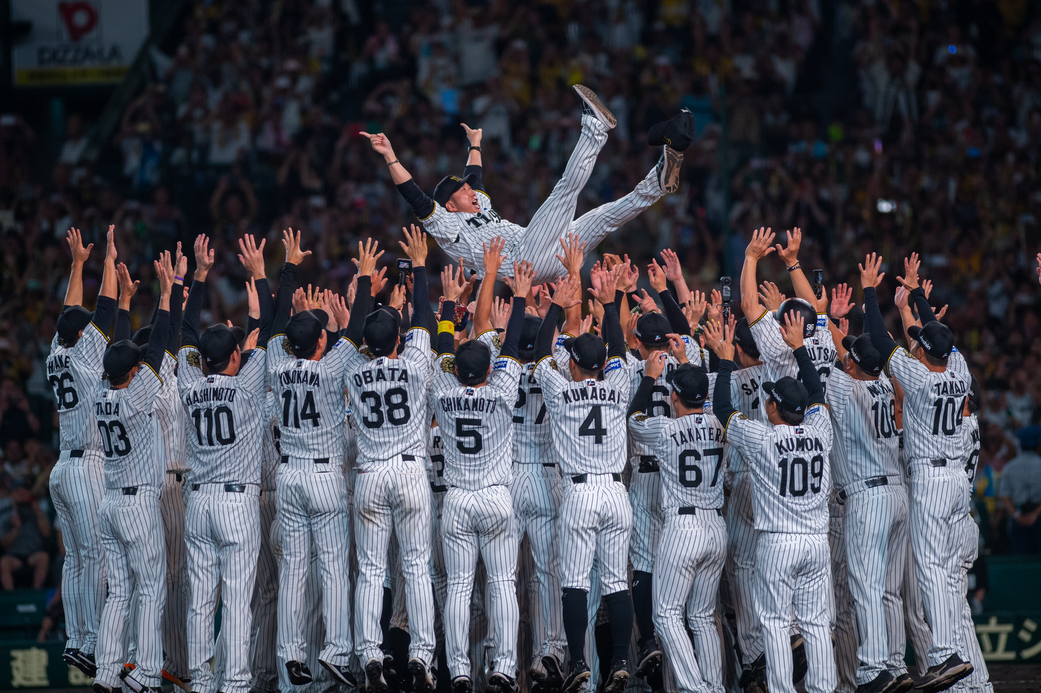 阪神タイガース 優勝記念 限定クリアファイル 藤川球児 胴上げ 阪神タイガース 優勝記念 限定クリアファイル 藤川球児 胴上げ 阪神