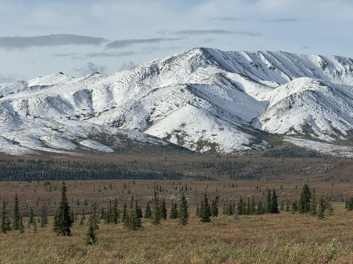 Missing snow-covered mountains and gorgeous Alaskan scenery from our recent Viking trip. But the memories are golden.
