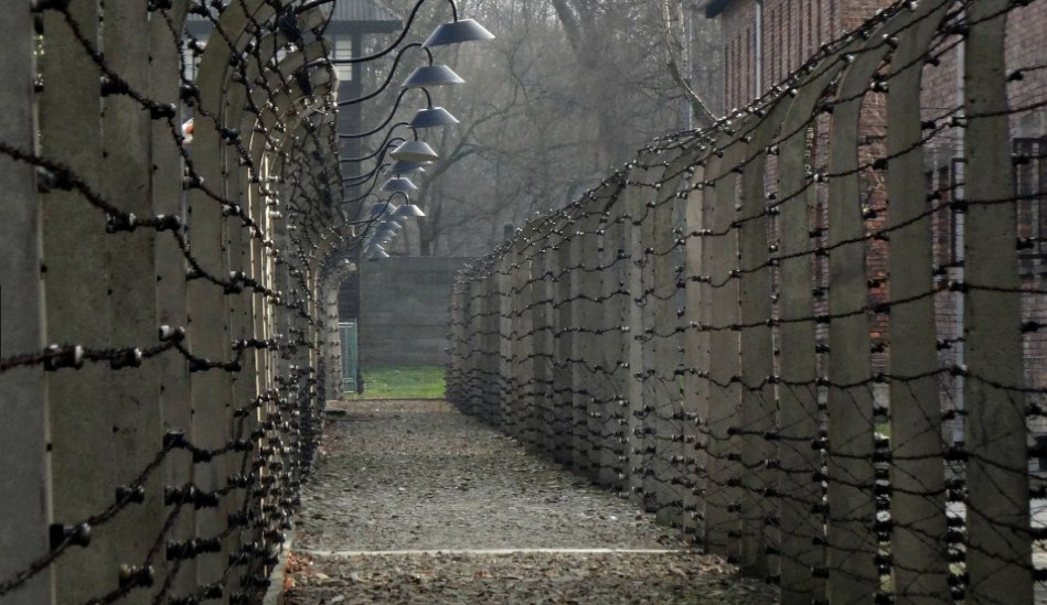 One of the most challenging lessons for us, learned from the history of #Auschwitz, is the importance of human responsibility. 

We must learn about the past to make our world a better place today and in the future.

#NotLongAgoNotFarAway