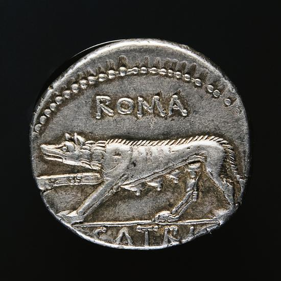 milerozu's tweet photo. Did you know the real Roman coin @dogecoin talked about was the $DENARIUS? 

Some showed the she-wolf with Romulus &amp; Remus, the founders of Rome.

There was no doge back then.

https://t.co/vWohQfcPdP https://t.co/4hsaE3vxp8