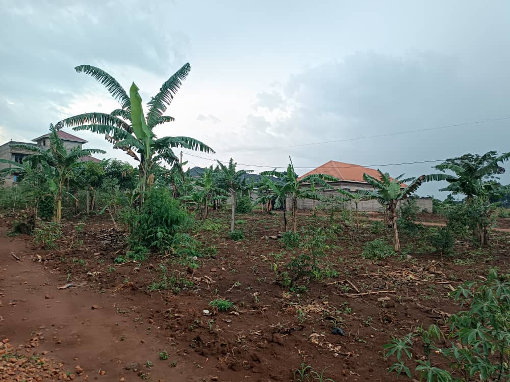 shukranproperty's tweet photo. PLOT FOR SALE IN #NAMUGONGO - KIWANGO
50ft by 100ft~ #12Decimals
Selling Price at #40m Ugx
Private mailo land title
0706 592 177 https://t.co/An7OpzIK7d