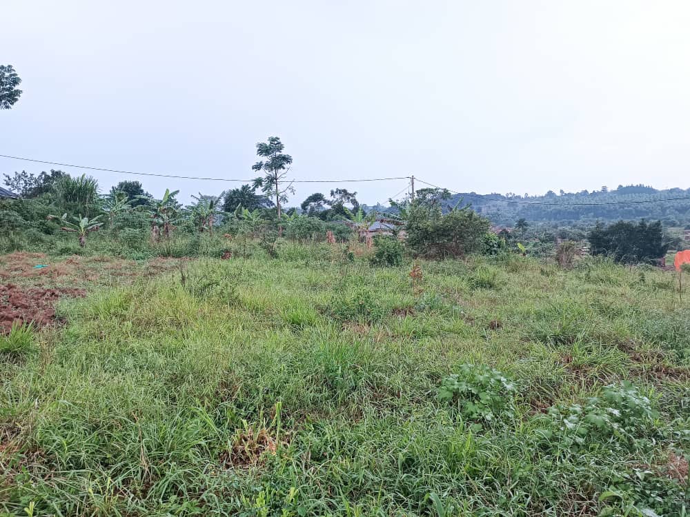 shukranproperty's tweet photo. PLOT FOR SALE IN #NAMUGONGO - KIWANGO
50ft by 100ft~ #12Decimals
Selling Price at #40m Ugx
Private mailo land title
0706 592 177 https://t.co/An7OpzIK7d