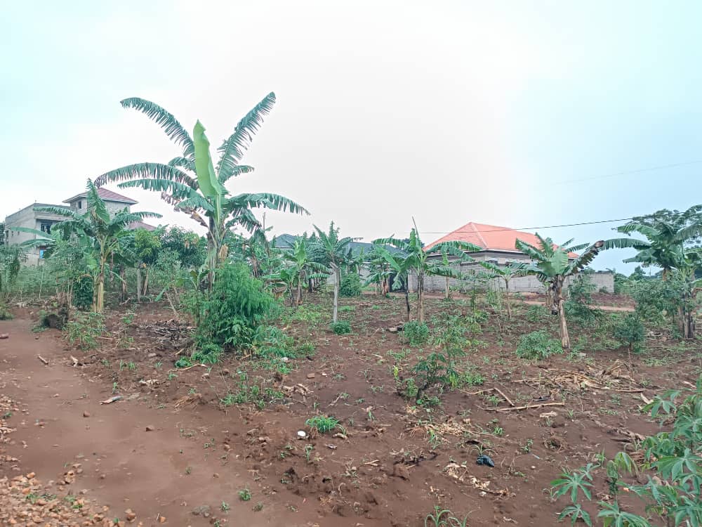 shukranproperty's tweet photo. PLOT FOR SALE IN #NAMUGONGO - KIWANGO
50ft by 100ft~ #12Decimals
Selling Price at #40m Ugx
Private mailo land title
0706 592 177 https://t.co/An7OpzIK7d