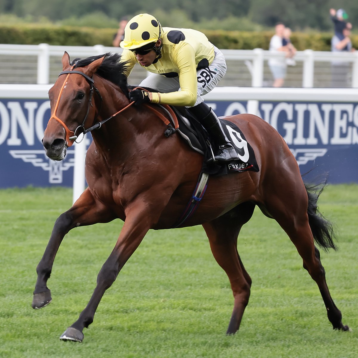 Racing Post tweet media