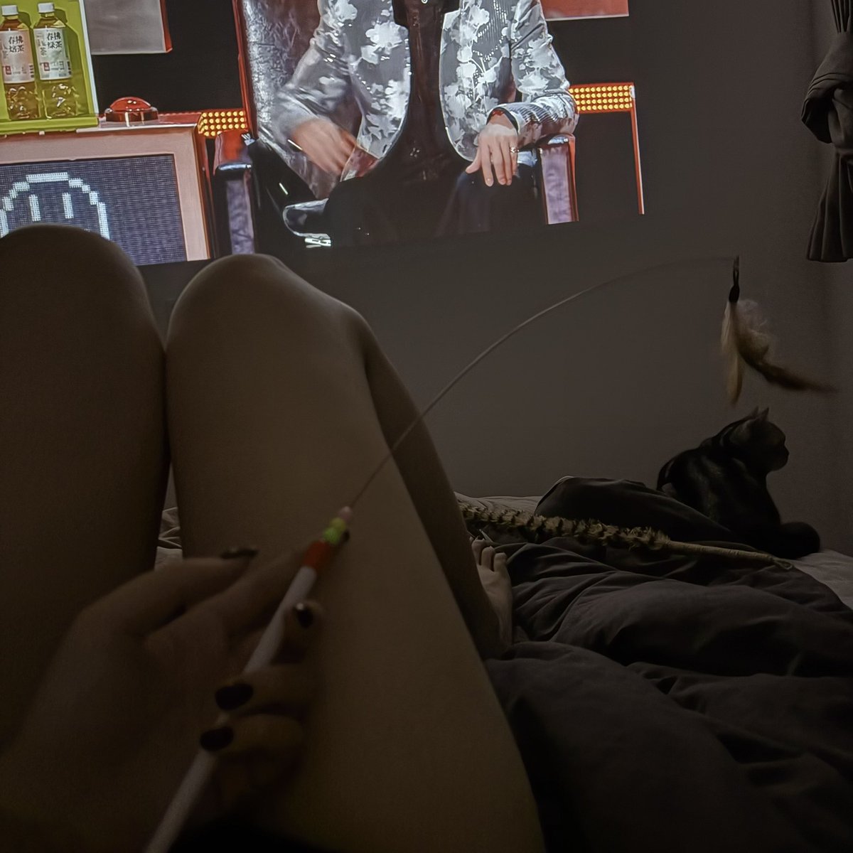 BeggingM3's tweet image. 钓小猫 又 钓小狗