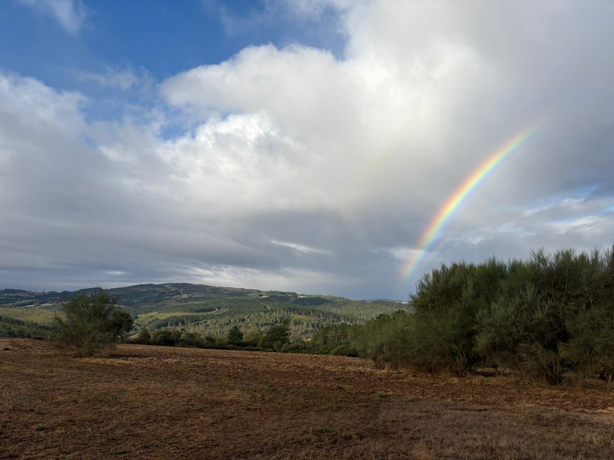 Barry George Mudge tweet media