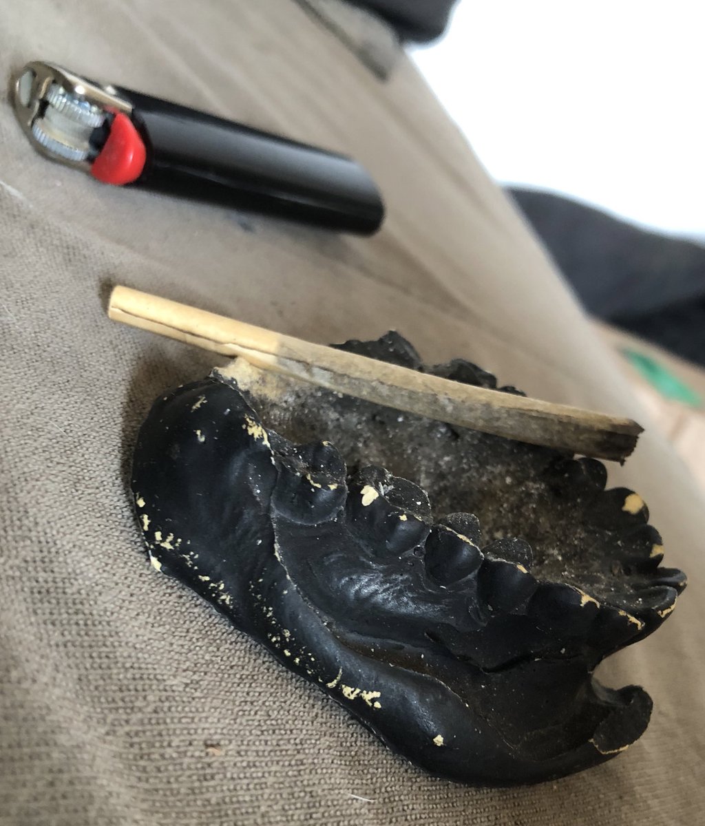 bom dia maconhistas✨

um colega uma vez comentou que na facul de odonto era muito comum os estudantes usarem moldes como cinzeiro, ai resolvi arrumar um pra mim (da minha própria arcada mesmo) e até hoje é o cinzeiro mais daora q ja tive
