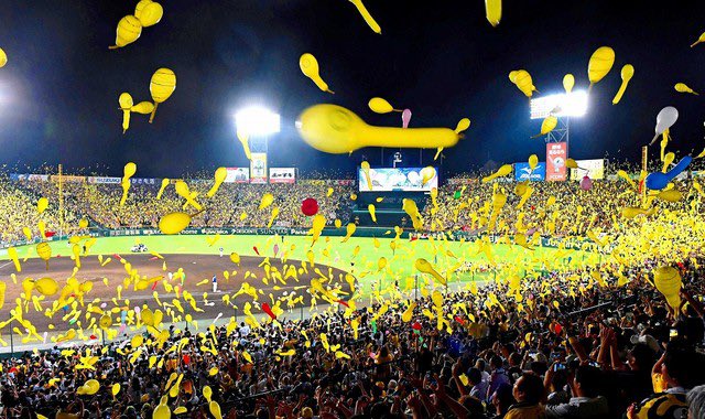 黄色に染まる夜。阪神、優勝。
ありがとうタイガース🔥

#虎党 #猛虎魂 #Tigers #sports #感動の瞬間