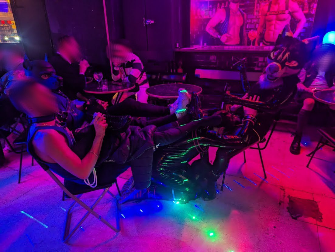 No barks, No struggles. 🦴
Just one pull, and they fold. 🔥

<a href="/pupAdi94/">pupAdi</a> kneels like the good boy he is. 

📍: <a href="/BOXERBARCELONA/">BOXER BARCELONA</a>