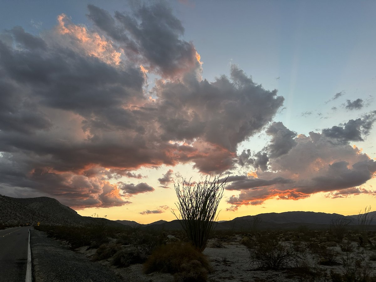 .<a href="/kklemmon/">Karen Lemmon</a> and I were cruising around <a href="/AnzaBorregoPark/">Anza-BorregoDesertSP</a> it was a bit warm but so inviting