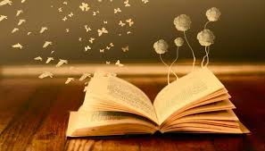 Our "Drop Everything and Read" session is on Thursday 18th September during Period 2 - please remember to bring a reading book to school