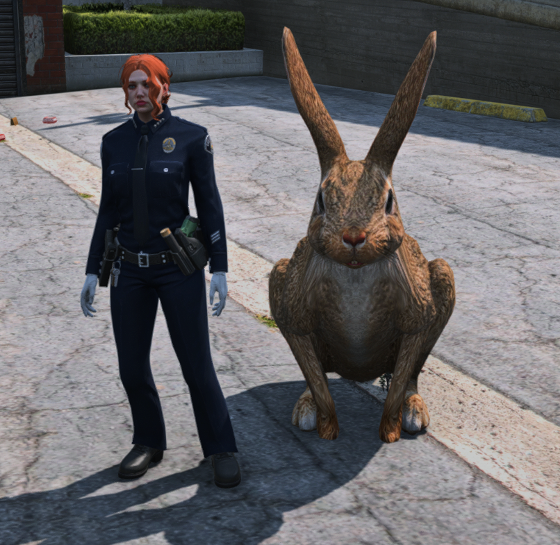 ONX RP ES tweet media