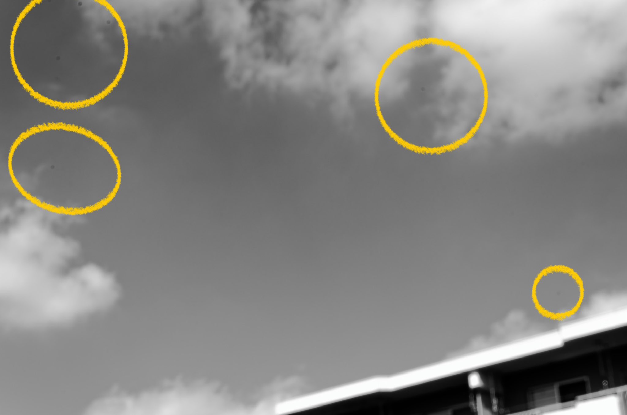 リュー (@ryu2012) / X