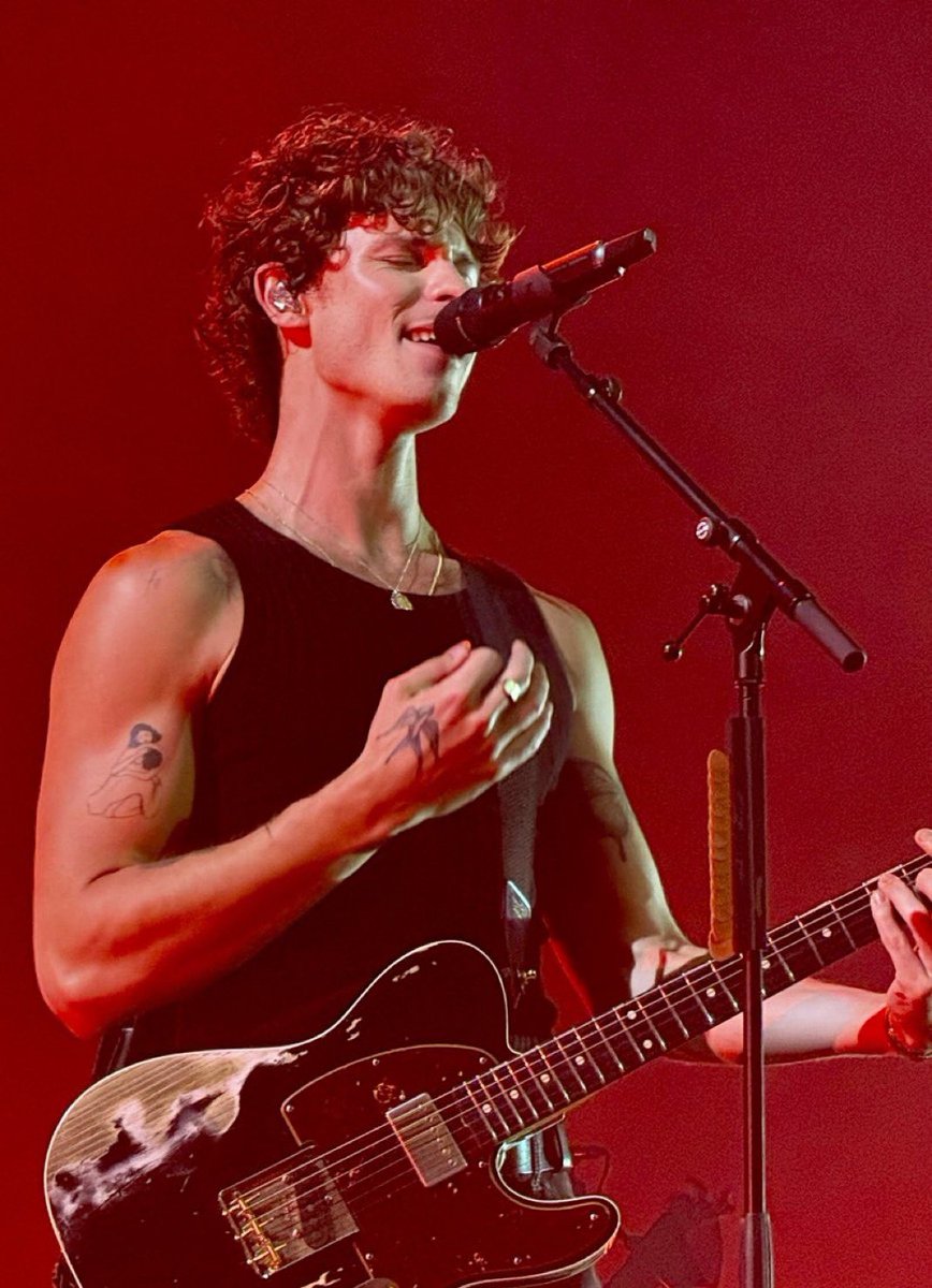 ○ single 
○ taken 
◉ obsessed with shawn mendes