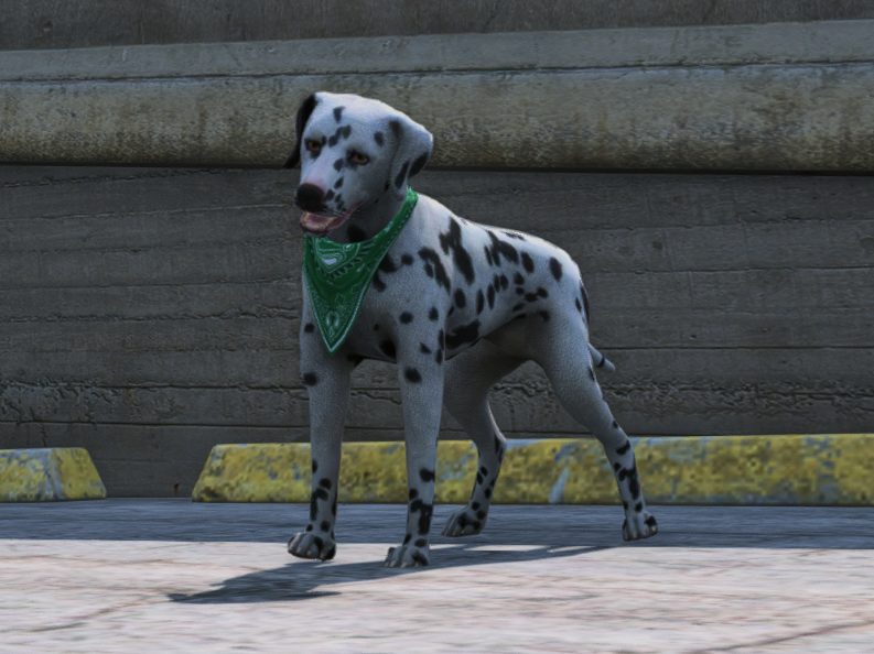 ONX RP ES tweet media