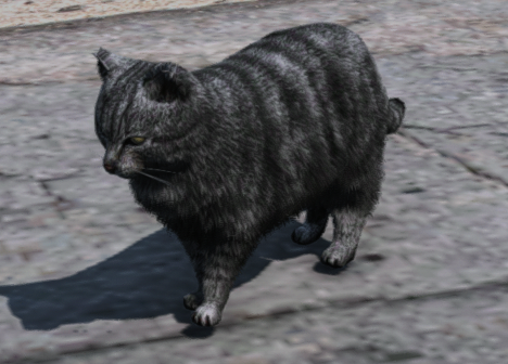 ONX RP ES tweet media