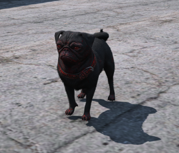 ONX RP ES tweet media