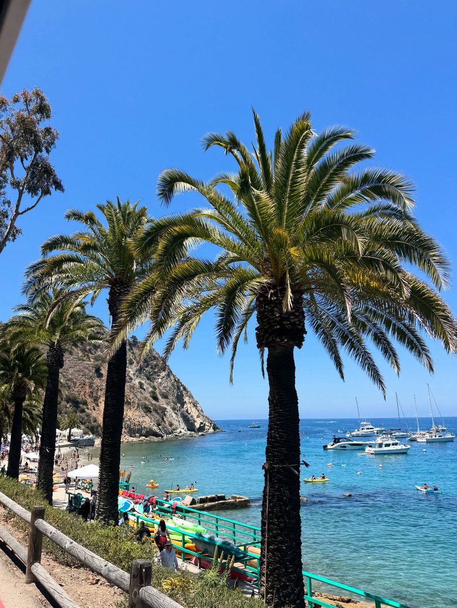 Let Catalina Island transport you to an escape from reality🌴 

📷: Instagram.com/mollielayton