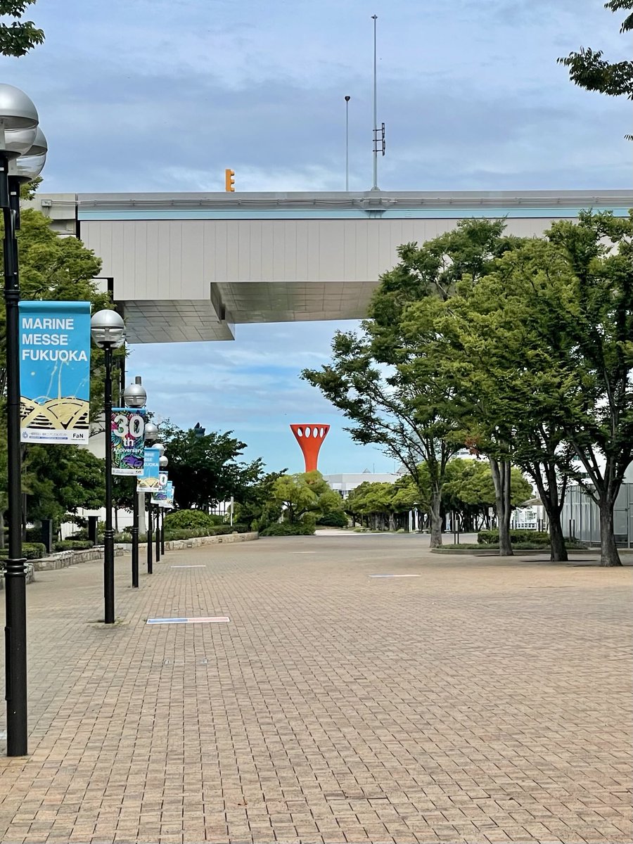 drlailagirgis's tweet image. #APLAR25