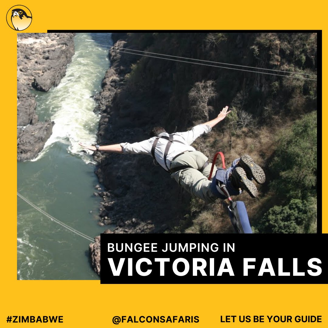 falconsafariszw's tweet image. 🪂 111 Meters. One Leap. Endless Adrenaline. ⚡

Standing above the roaring Zambezi River, fear feels real — but so does the thrill. 💥
🌍✨

#FalconSafaris #VictoriaFalls #BungeeJump #AdrenalineRush #BucketListMoments #VisitZimbabwe #FearlessJourneys #AdventureAwaits