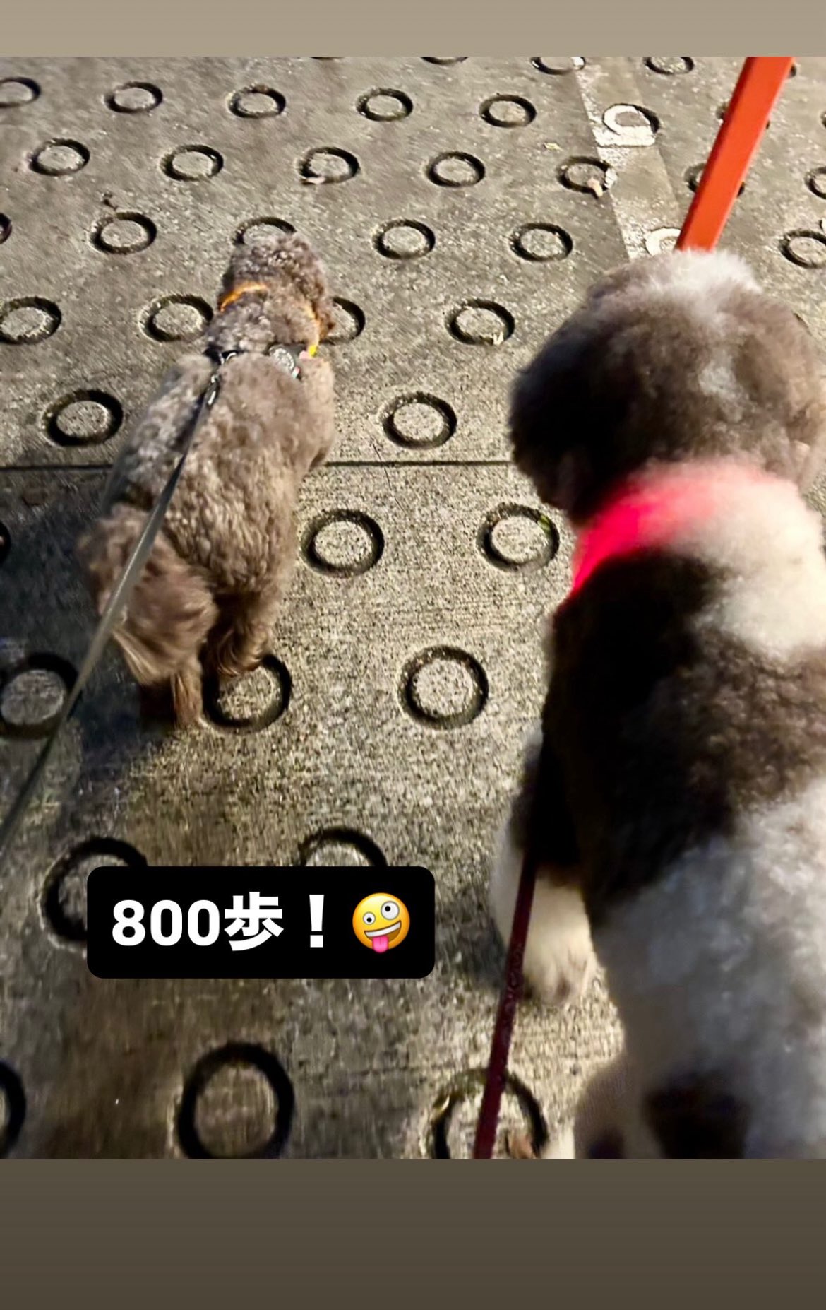 状態は悪いです。ただキムタクファンには本当に貴重な一枚。20年