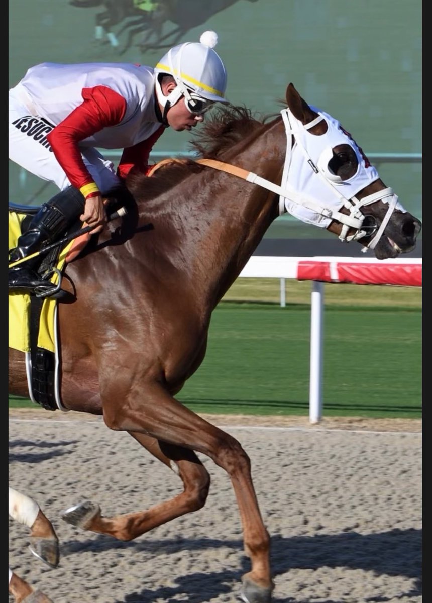 Sumando un año más de vida, y cada día estoy más agradecido con Dios por su amor y misericordia. Solo le pido vida, salud y sabiduría para seguir caminando de su mano Señor Jesús. Gracias por cada experiencia vivida.