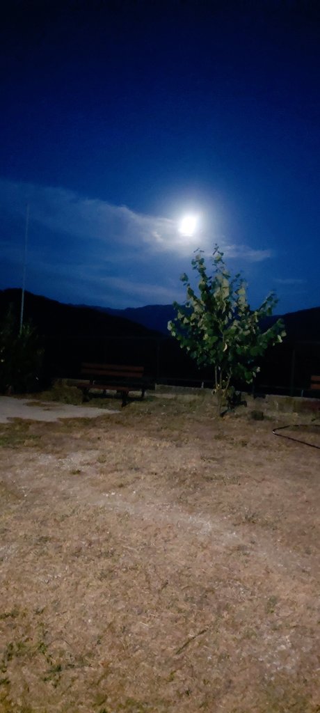 Ένα όμορφο ΣΚ με σκοπό τον καθαρισμό και την προετοιμασία ενός μέρους της διαδρομής του μοναδικού ROUT classic 100miles!
<a href="/Rout100miles/">ROUT CLASSIC100 Miles</a>