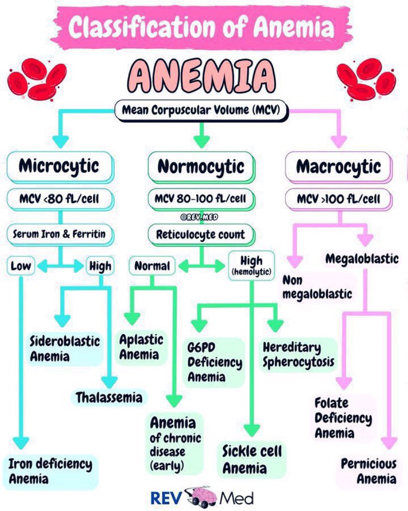 NutrioSci's tweet image. Classification of anemia

Credit: #RevMed #medx #anemia